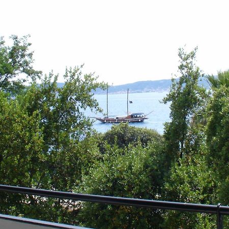 Apartment Jelena Zadar Eksteriør billede